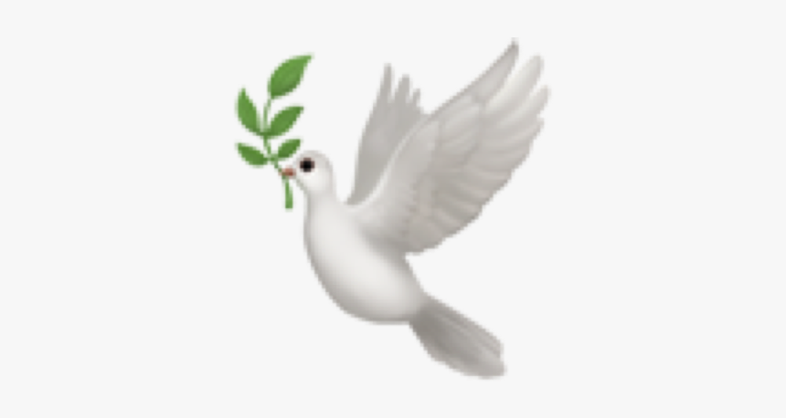 #emoji #emojiface #emojis #cute #aesthetic #multicolor - Bird With Olive Ios Emoji, HD Png Download