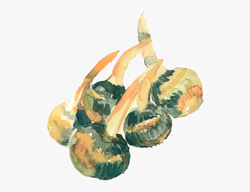 Gourd, HD Png Download