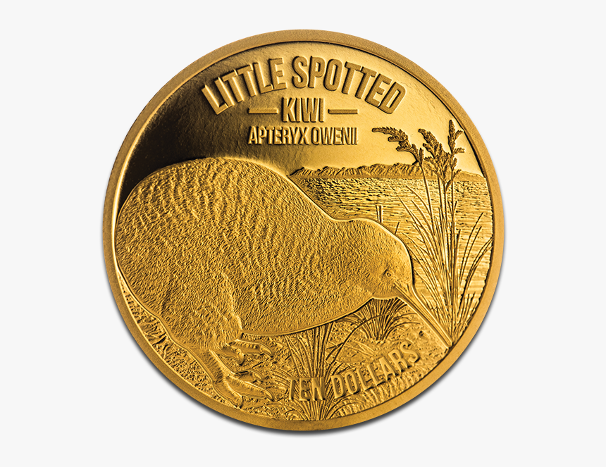 Coin, HD Png Download