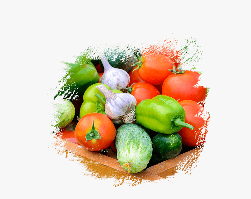 Fresh Fruit & Vegetables Supplier, Distributors In - Fresh Vegetables Pics Png, Transparent Png