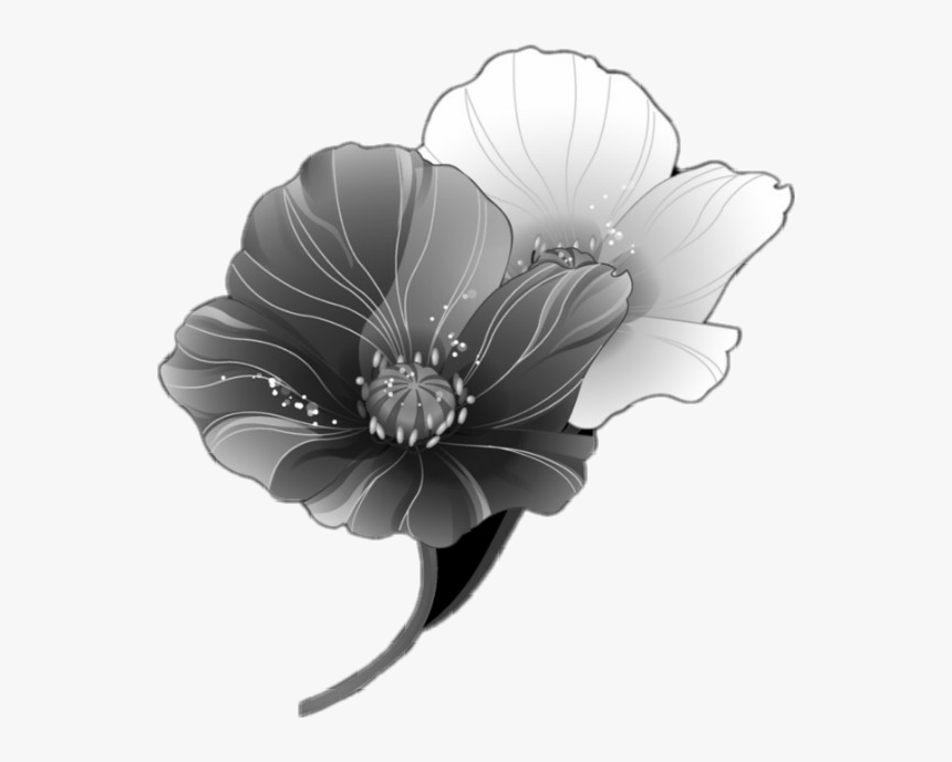 #freetoedit #iremixedit #perfectlybeautiful #flowers - Цветок Вектор Пнг, HD Png Download