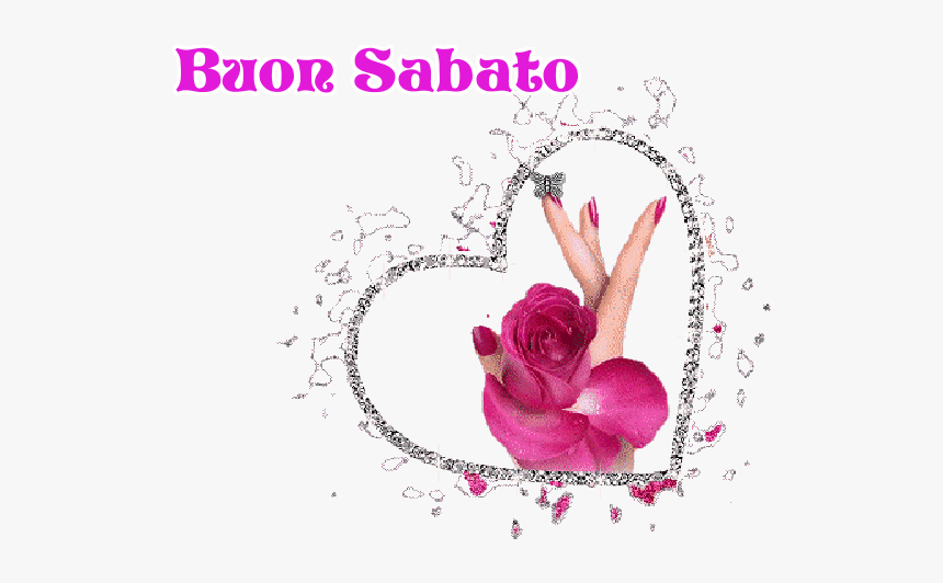 Hybrid Tea Rose, HD Png Download