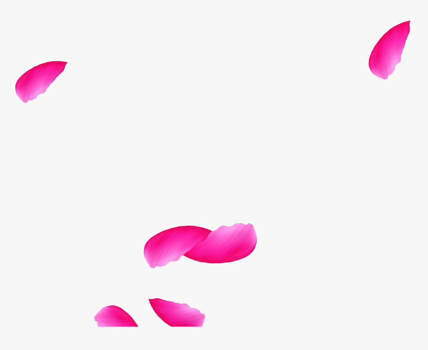 Tulip, HD Png Download
