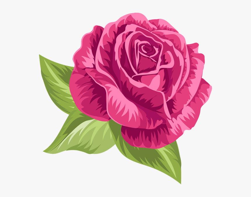 Pink Vintage Rose Clip Art - Rose Png, Transparent Png