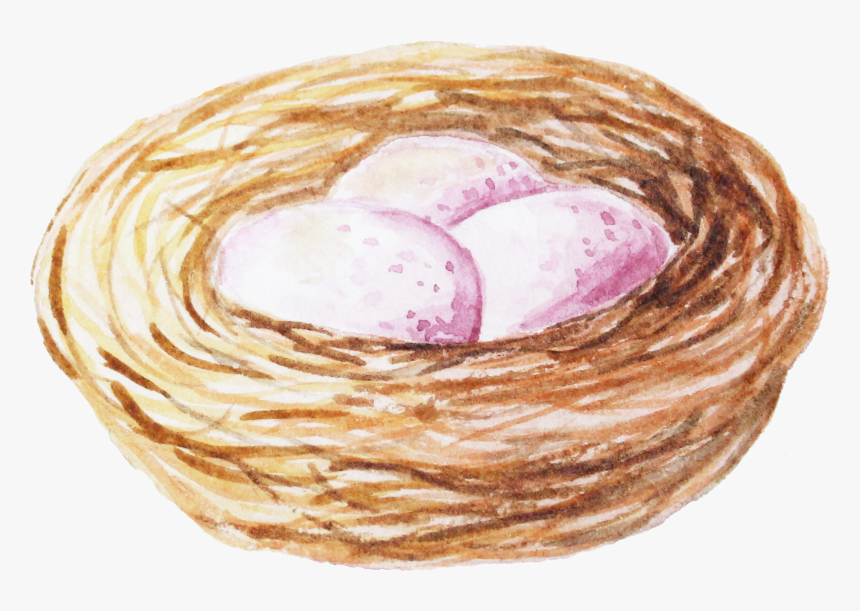 Vegetable, HD Png Download