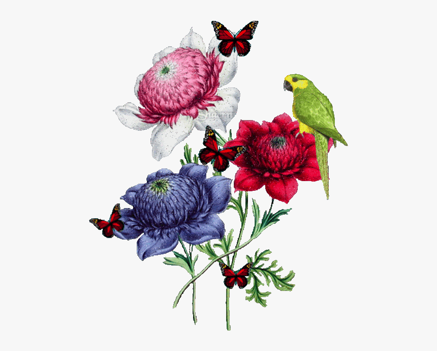 God Knows What's Best For Us So, HD Png Download