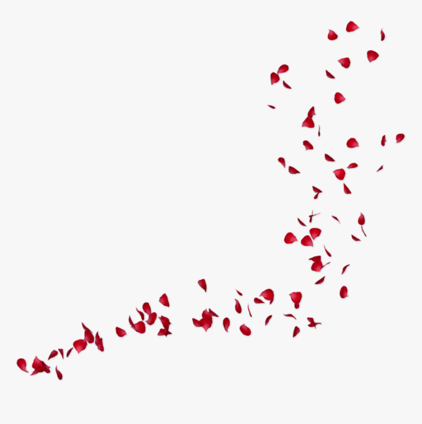 - Rose Petals - Png V - 4 - 3 Background - Rose Piece Png, Transparent Png
