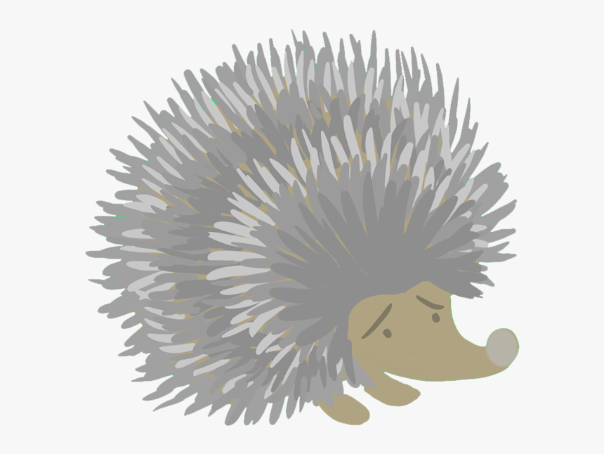 Porcupine, HD Png Download