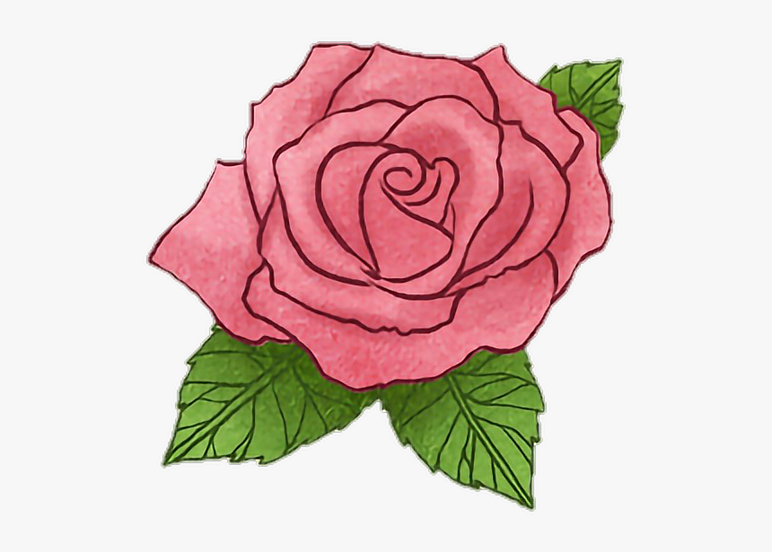 #rose #flower #littleprince #story #drawing #watercolor - Floribunda, HD Png Download