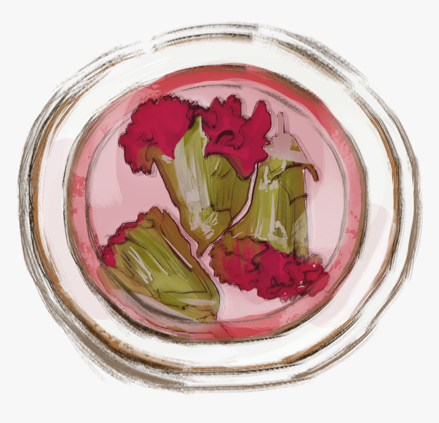 五谷杂粮健康养生康乃馨花茶 - Carnation, HD Png Download