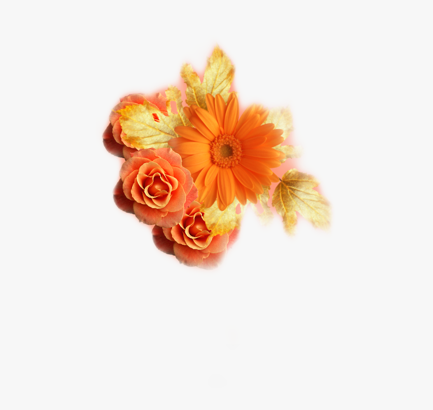 Floral Frame, HD Png Download