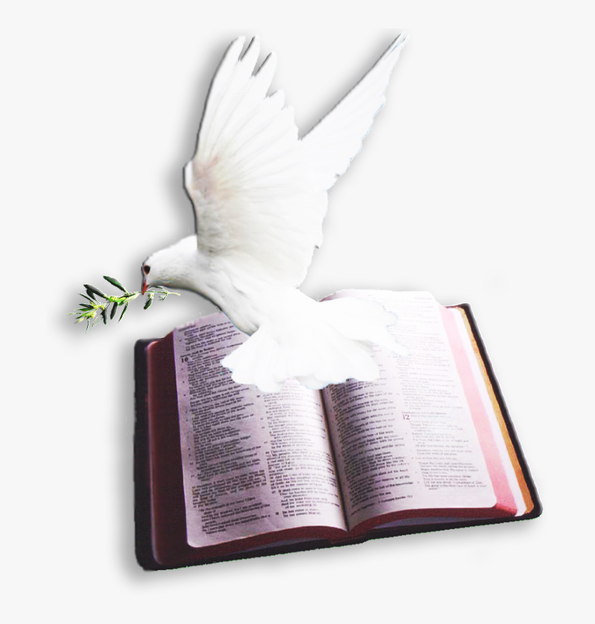 Archivo Del Blog <- Bible And Dove Png , Png Download - Bible And Dove Png, Transparent Png