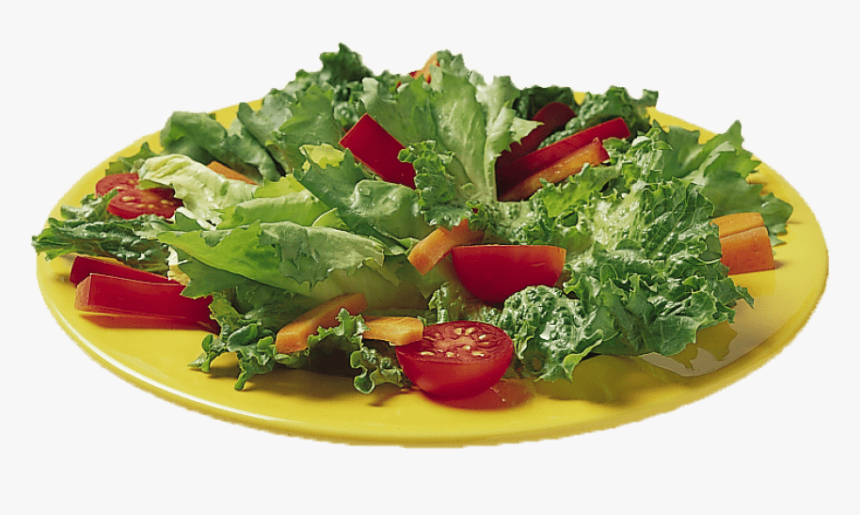 free png vegetable salad png png images transparent salad png download transparent png image pngitem free png vegetable salad png png images