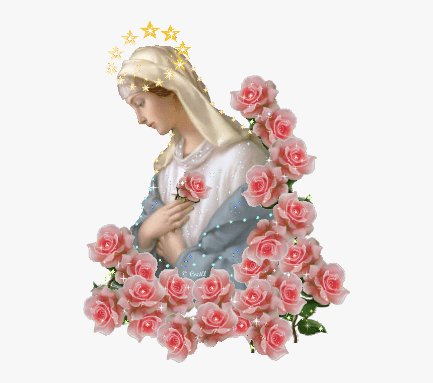 89aae6c9dc2d0a9721edbbd - Imagens De Nossa Senhora Gif, HD Png Download