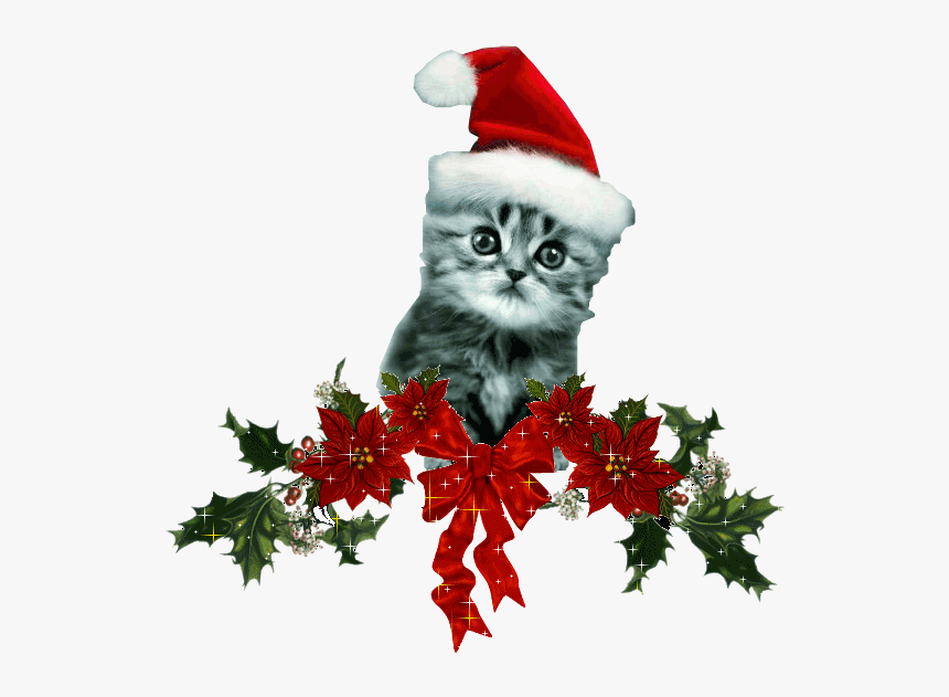 Chats De Noel Images - Christmas Decoration Animated Gif, HD Png Download