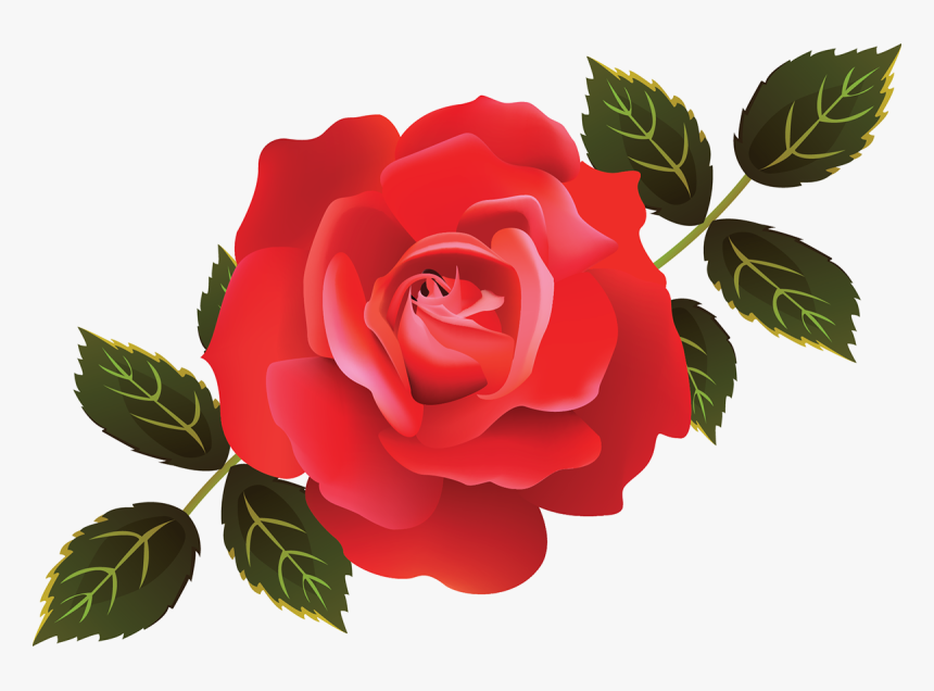 Illustrator Roses, HD Png Download