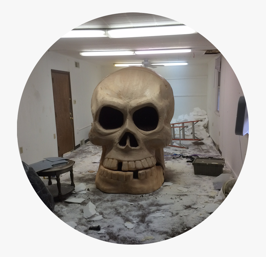 About Nichelangelo - Skull, HD Png Download