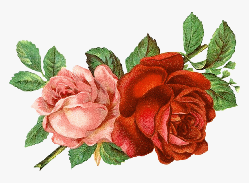 Flower Clipart Floral Roses - Vintage Roses, HD Png Download