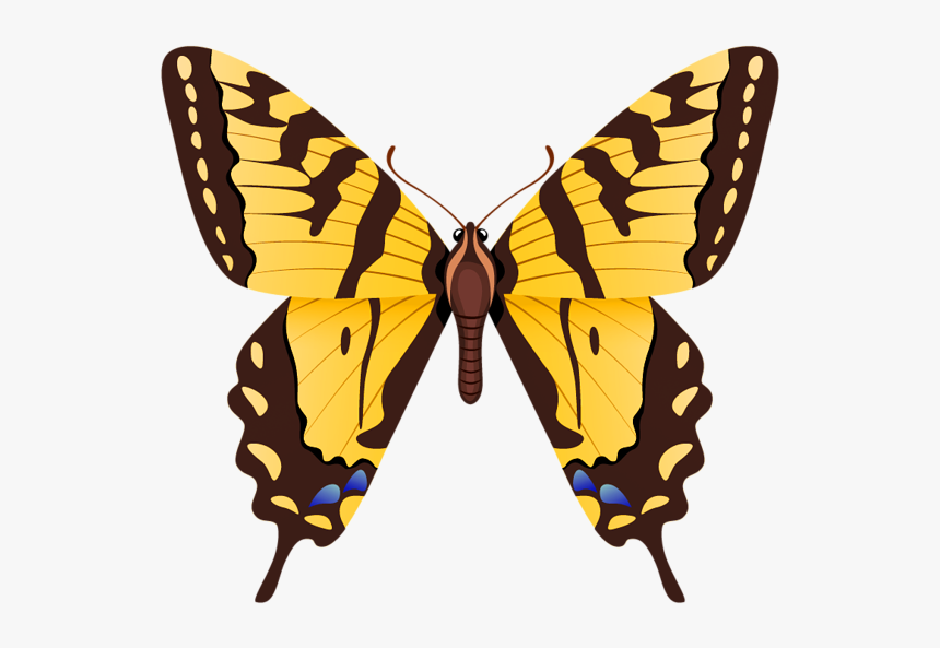 Butterfly Tiger Swallowtail, HD Png Download