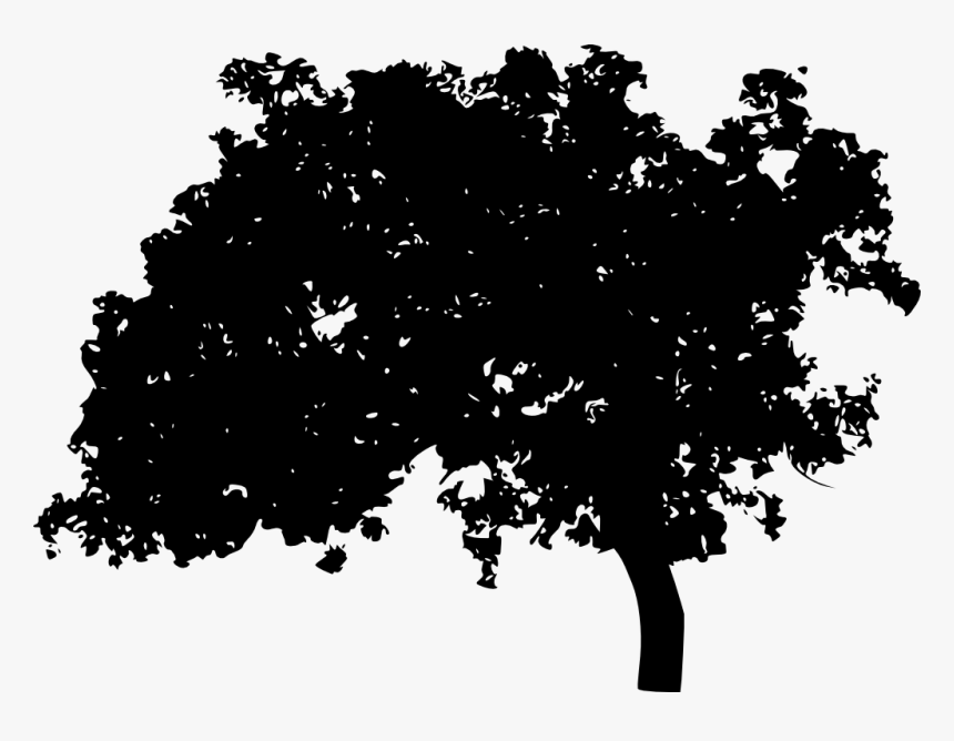 Tree Silhouette - Silhouettes Transparent Background Png, Png Download