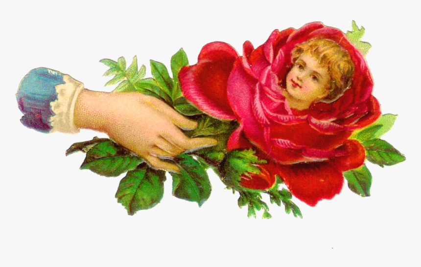 White Rose Border Png, Transparent Png