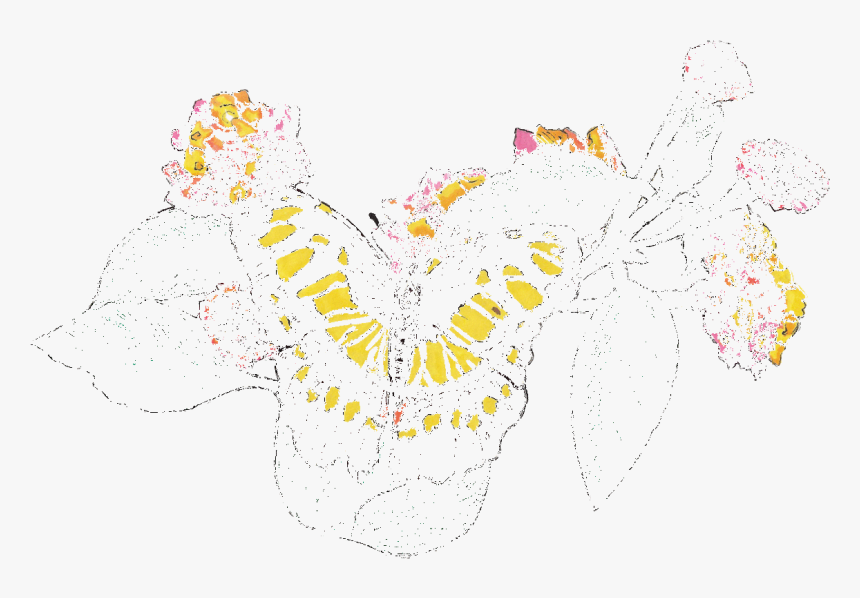 Drawing, HD Png Download