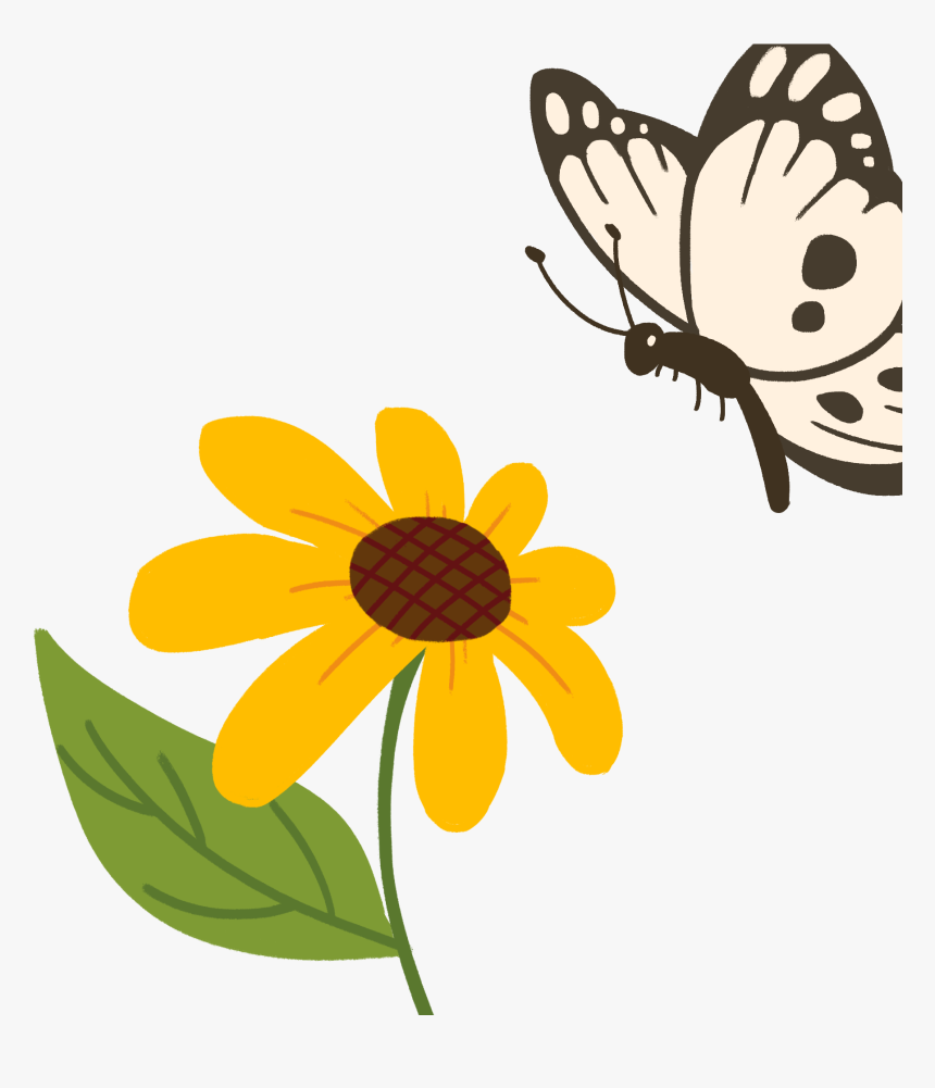 蝴蝶 动, HD Png Download