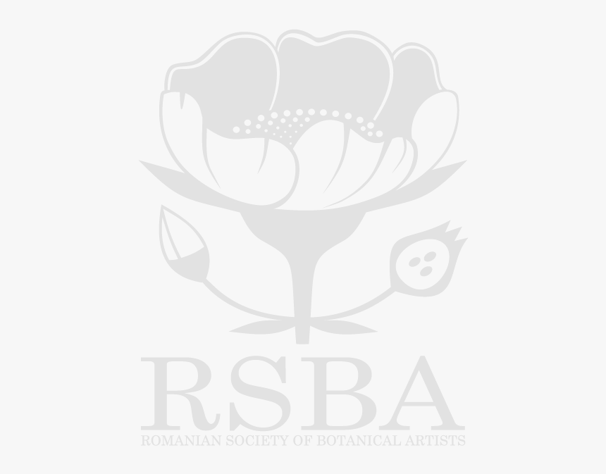 Romanian Society Of Botanical Artists - Mapa Rs, HD Png Download