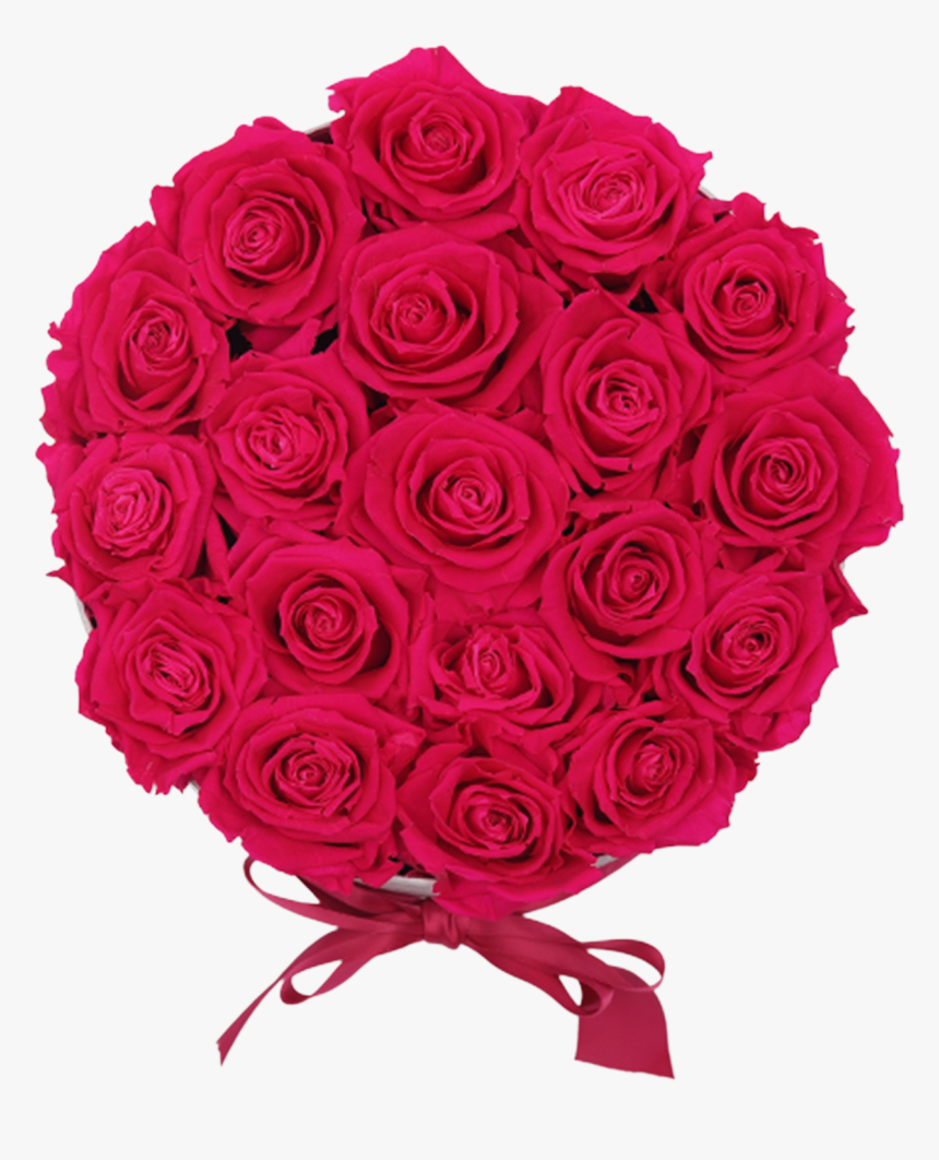 Dusty Rose Flower - Garden Roses, HD Png Download