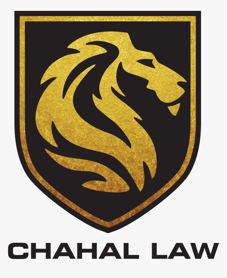 Chahal Law - Charlie St Cloud Dvd Cover, HD Png Download