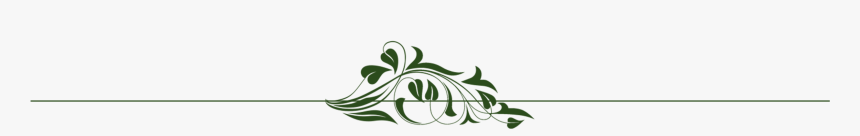 Floral Line Dividers Png, Transparent Png