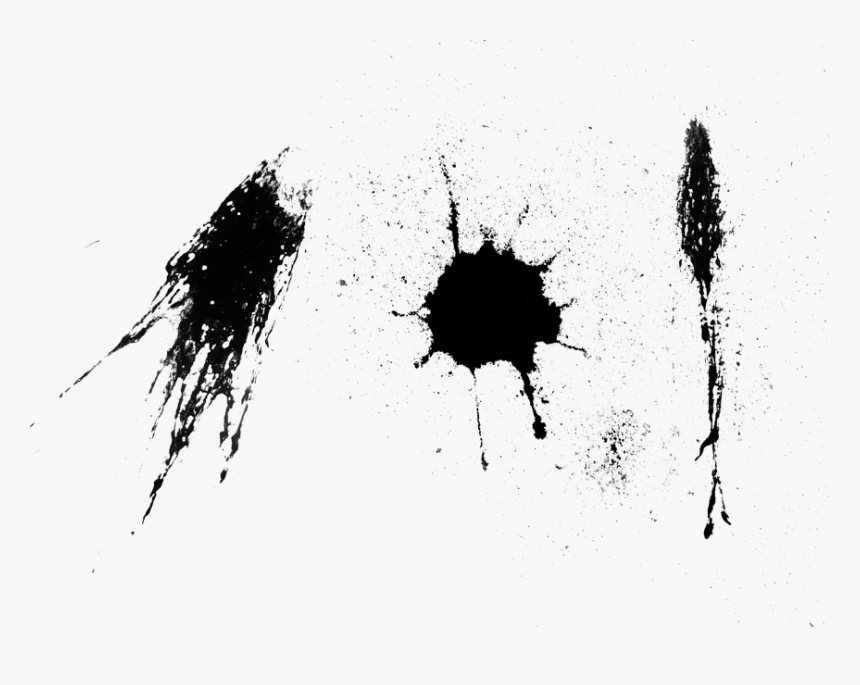 Ebook Class Dismissed - Bird Shit Png, Transparent Png