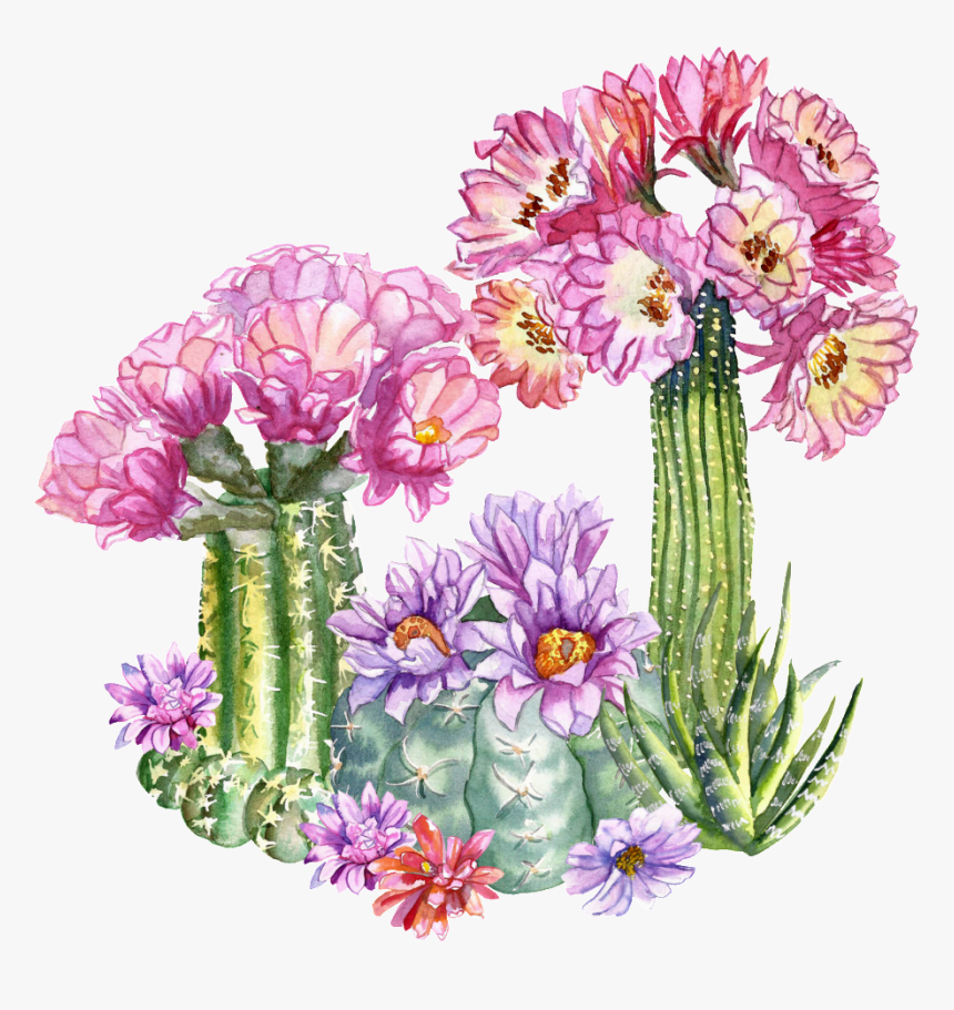 Tropical Flower Transparent - Bouquet, HD Png Download