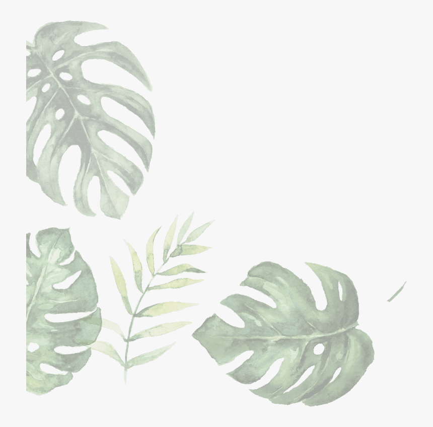 Illustration Of Leaves - Illustration, HD Png Download