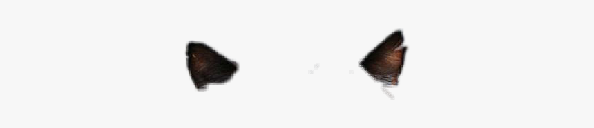 #cat #ears #catears - Butterfly, HD Png Download