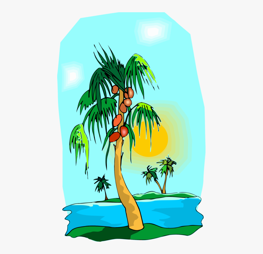 Plant,flora,leaf - Attalea Speciosa, HD Png Download