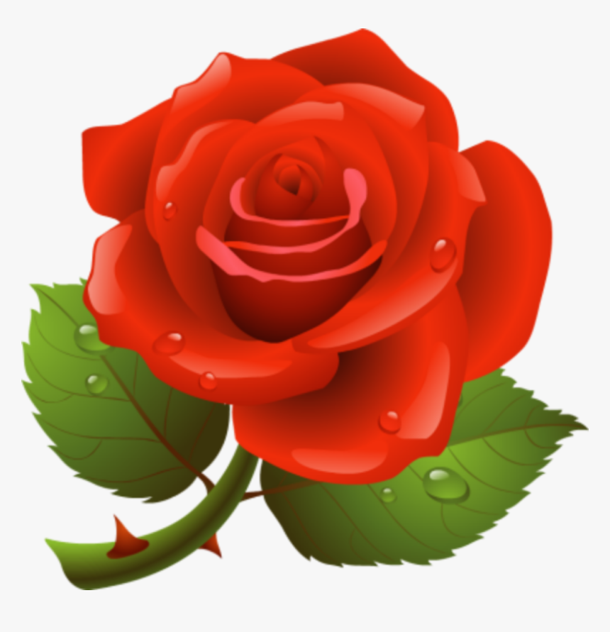 #rose #flower #redrose #raindrops - Clipart Picture Of Rose, HD Png Download