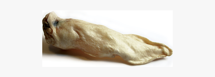 Goat Ears For Dogs, HD Png Download