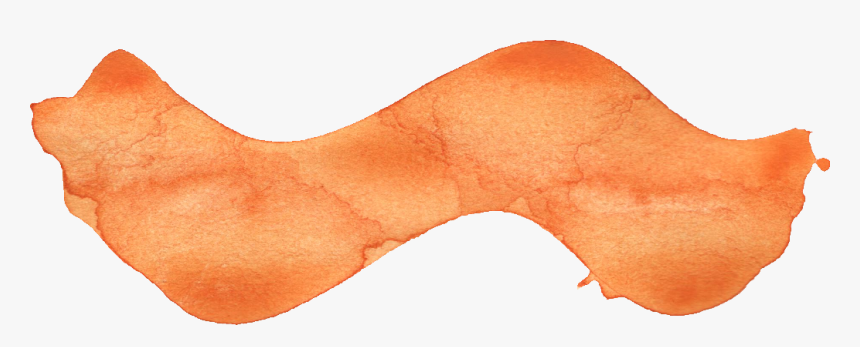 Bone, HD Png Download