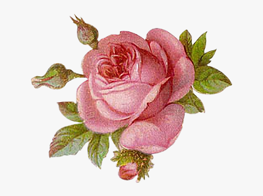 Victorian Flower Art Png, Transparent Png