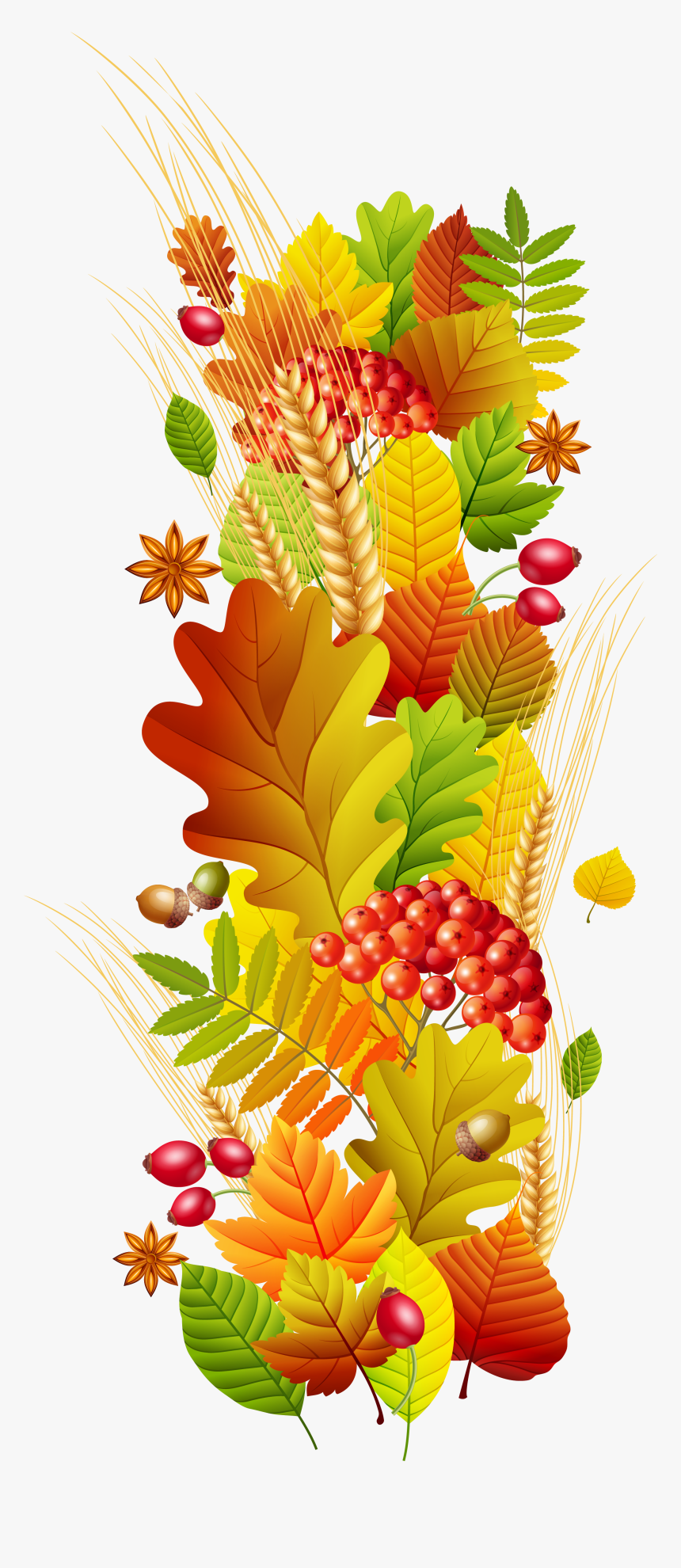 Autumn Season Floral Design Clip Art - Transparent Floral Clip Art, HD Png Download