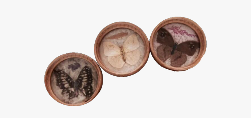 Image - Polyvore Png, Transparent Png