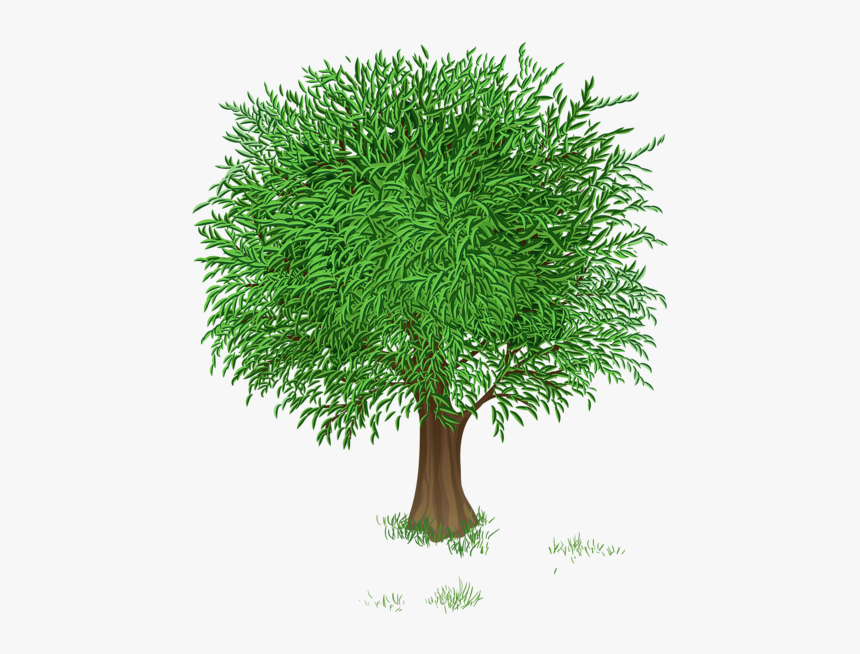 Spring Season Tree Clipart, HD Png Download