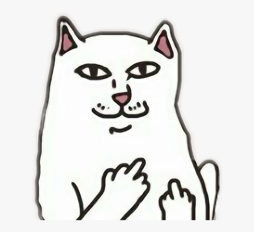 #fuck #cat #ripndip - Ленивая Жопа, HD Png Download