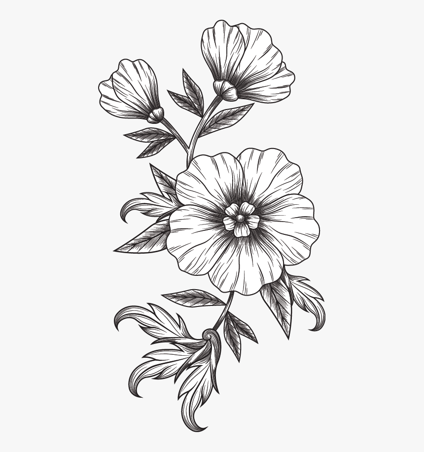 Black And White Flower, HD Png Download