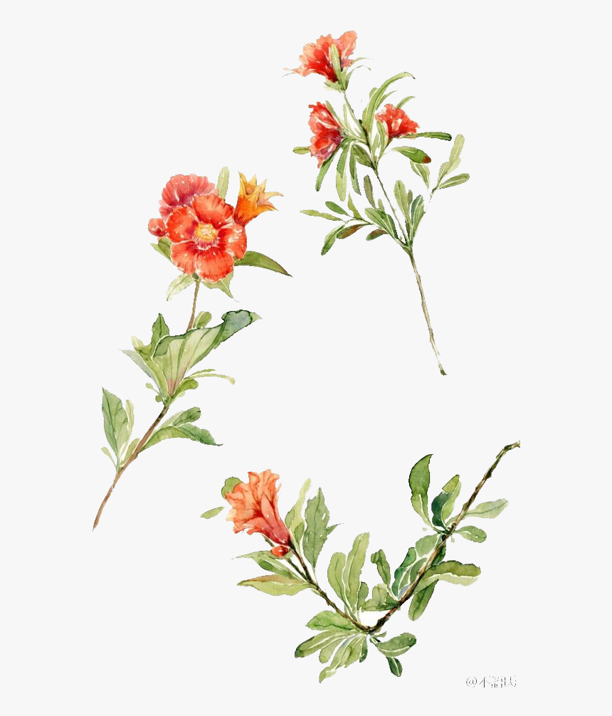 Kisspng Watercolour Flowers Floral Design Watercolor - Watercolor Painting, Transparent Png