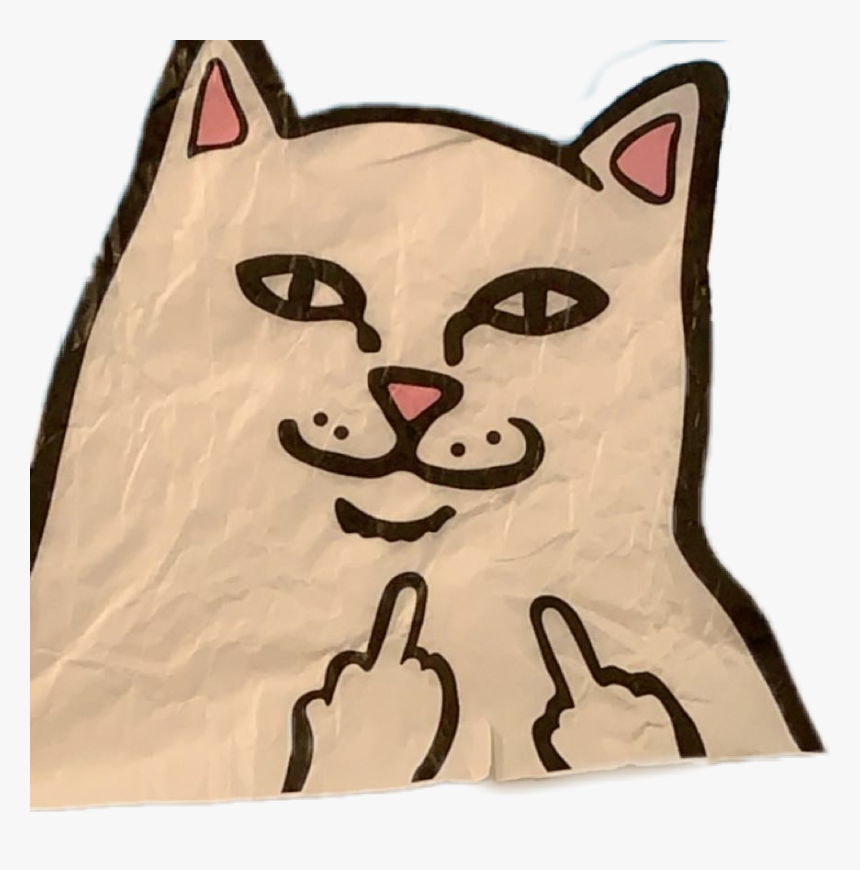 Cat Png, Transparent Png