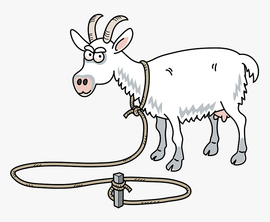 Burro, HD Png Download