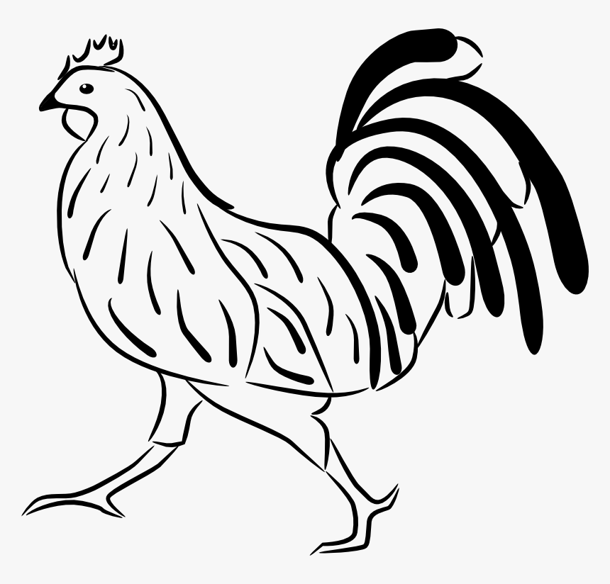 Clipart - Rooster - Petelin Pobarvanka, HD Png Download