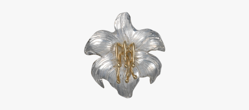 P100d-sv0, HD Png Download